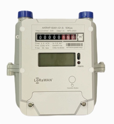 STS AMR LORAWAN Gas Meter Prabayar